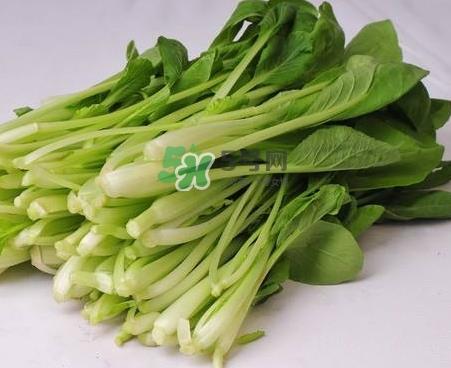 油菜怎么保存_油菜怎么保鲜_油菜保存方法