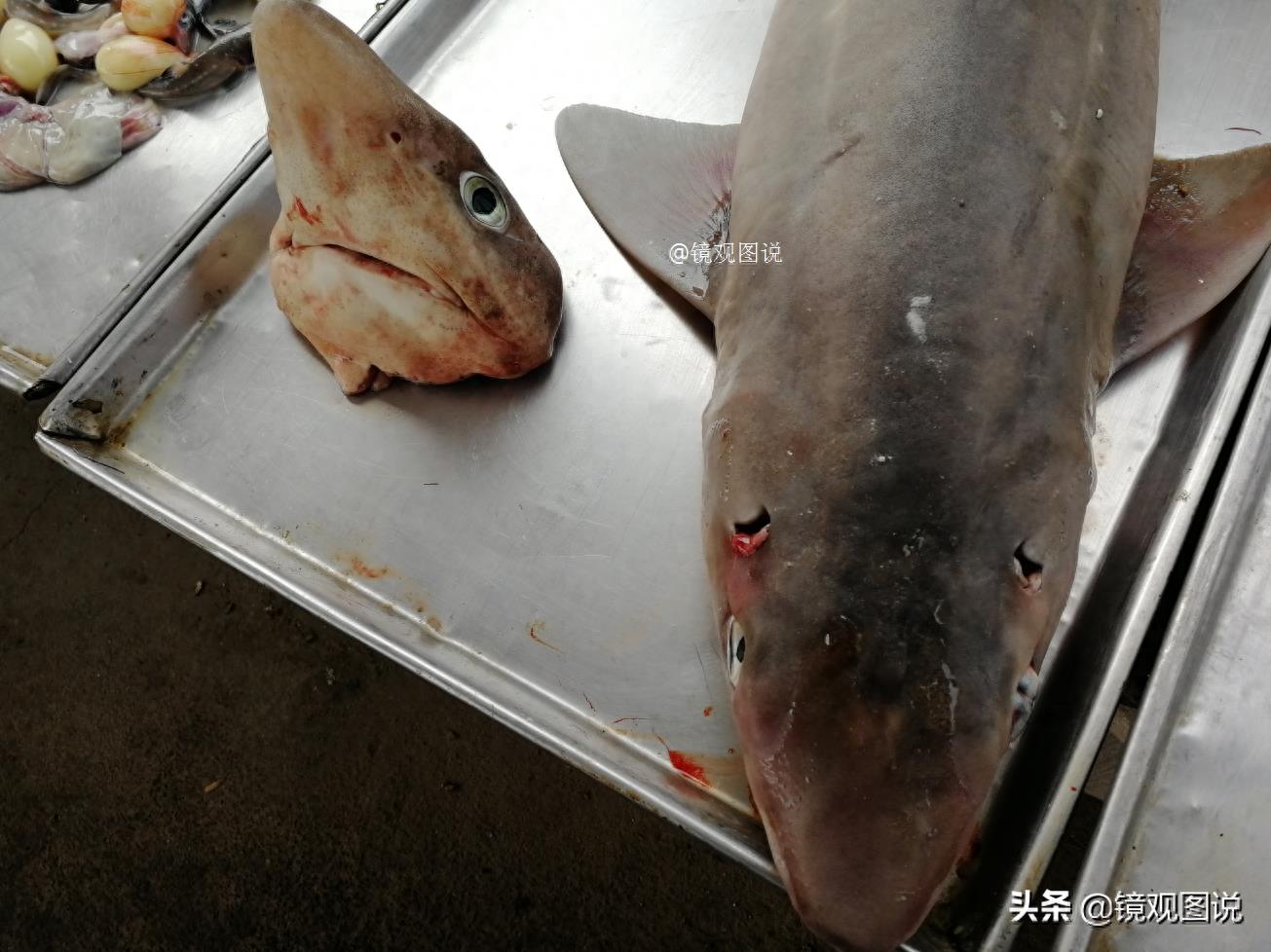 海中“霸主”成餐桌美食 海鲜市场鲨鱼12元一斤 网友：长见识