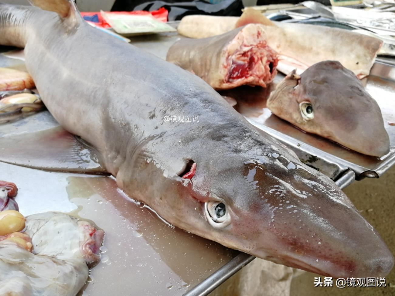 海中“霸主”成餐桌美食 海鲜市场鲨鱼12元一斤 网友：长见识