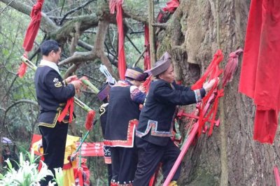 ​广西有十二个美丽的民族，你属于哪个民族呢？