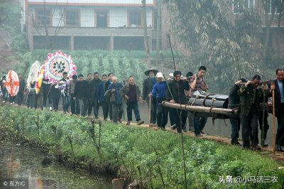 ​农村老人常说的“出五服”，你知道是什么意思吗