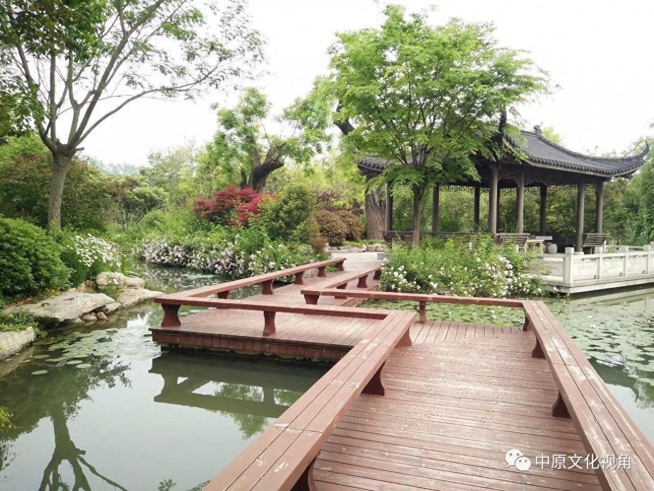 微电影《槐乡》助力槐文化推广！让沈丘人重温那段“木的”岁月！