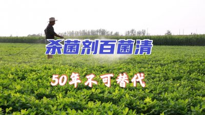 ​广谱杀菌剂百菌清，能防治100多种病害，农民用了50多年