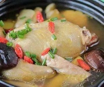 ​产妇鸽子汤的做法与功效