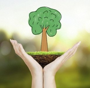 ​关于植树节的起源和由来