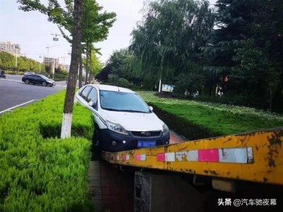 ​开车撞坏绿化、护栏要赔多少钱？老司机：有钱人都不敢这么撞