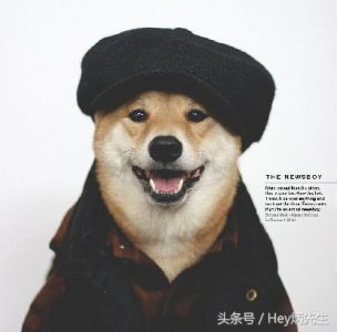 ​这五种装逼的方式，最让人受不了