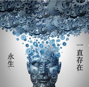 ​3种强悍的生物｜揭晓人类永生的正确方向