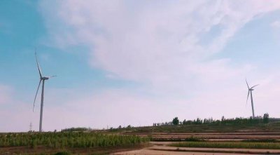 ​青岛涵碧楼丨于观澜处，且听风吟