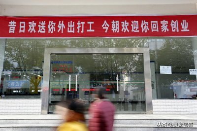 ​回乡创业！你要明白两点，最后才是重点