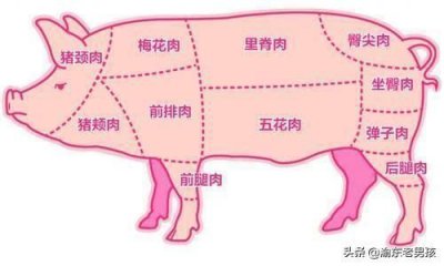 ​头条王刚做四川回锅肉用的＂二刀肉＂到底是什么肉？