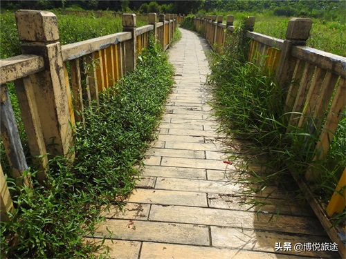 探访：东莞清溪大王山，探幽寻古的好地方
