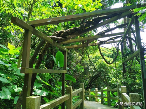 探访：东莞清溪大王山，探幽寻古的好地方