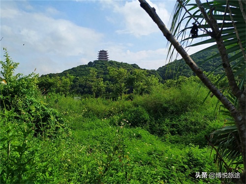 探访：东莞清溪大王山，探幽寻古的好地方
