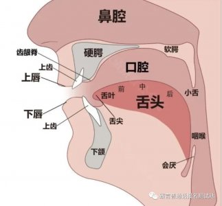 ​平翘舌怎么发才算标准？@所有人