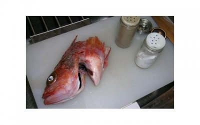 ​鍎垮瓙缁撳璋佸幓鎺ユ柊濞樻渶濂?/p>