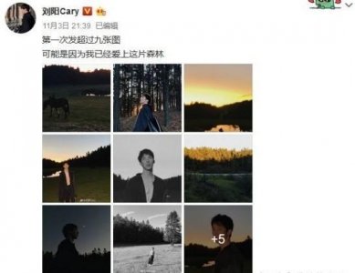 ​半藏森林事件始末！