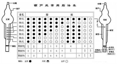 ​葫芦丝常用指法教程，练习注意事情