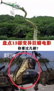 ​盘点13部变异巨蟒电影