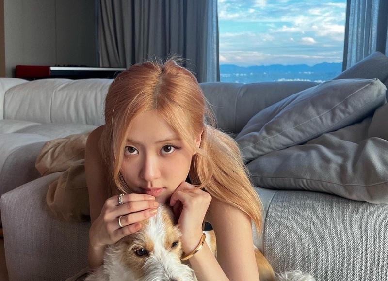 长春结婚照，长春主持人张楠结婚照