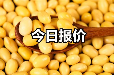 ​大豆今日价格，大豆行情走势！今日上涨