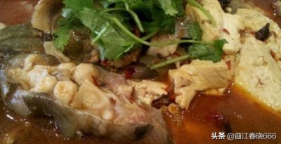 ​美食分享：鲶鱼豆腐汤