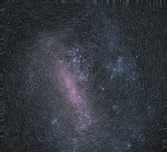 ​大麦哲伦星云的旋转星迹
