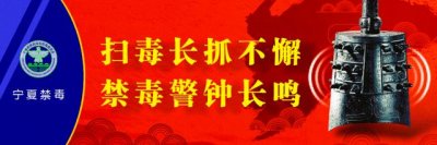​【禁毒影评】冷血的“冰” ——《破冰行动》观后感