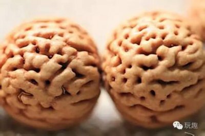 ​山桃核之恋  这是一份文玩人独有的情怀