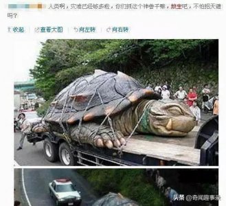 ​黄河巨龟事件！！！