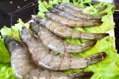 ​基围虾和明虾怎么区分？教你3招，保准买虾时再也不会被坑了