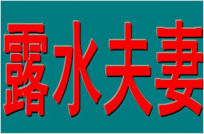 ​陈玉光：《露水夫妻》（小小说）