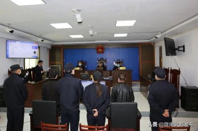 ​首例丨非法采挖兰花案在甘肃宣判