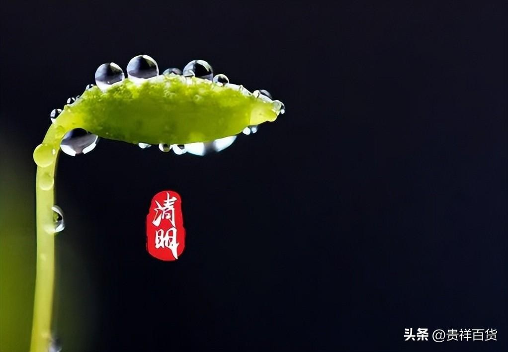 清明节后烧纸行不行(清明节后烧纸时间上有什么讲究)