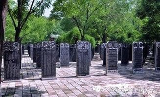 大槐树迁出姓氏大全 明朝山西洪洞县大槐树移民姓氏有哪些