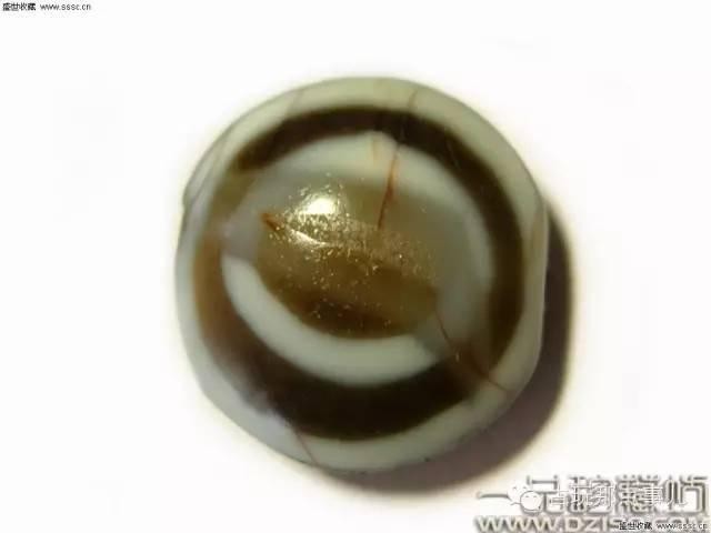 天珠挑选主要看什么（分类与简介入门图文版）(46)