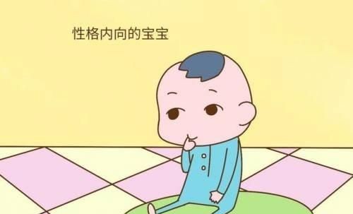 特长包括哪些，中招体育特长生有哪些？图8