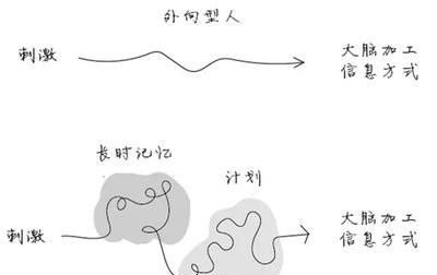 特长包括哪些，中招体育特长生有哪些？图5