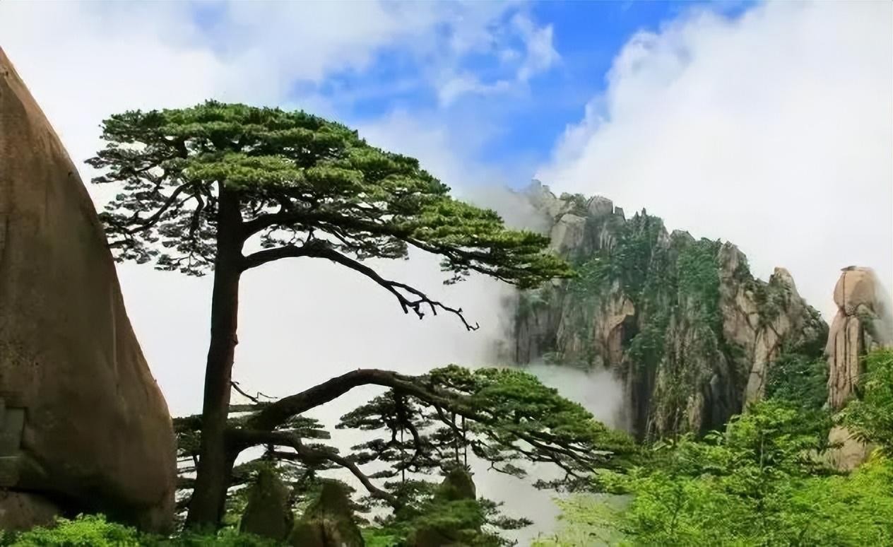 5元背面的风景是哪里(五元背面是哪里的风景)