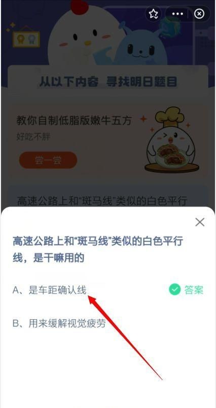 为什么要走斑马线,斑马线有什么作用