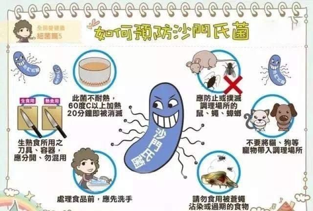 壁虎吃蟑螂吗?，壁虎能消灭蟑螂吗？图7