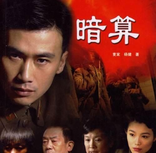 柳云龙妻子，柳云龙的演技如何？图21
