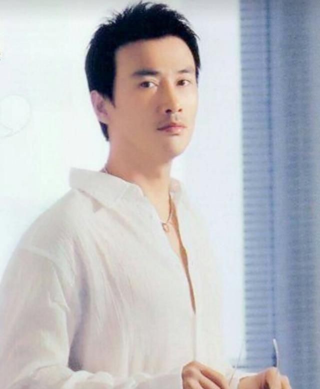 柳云龙妻子，柳云龙的演技如何？图16