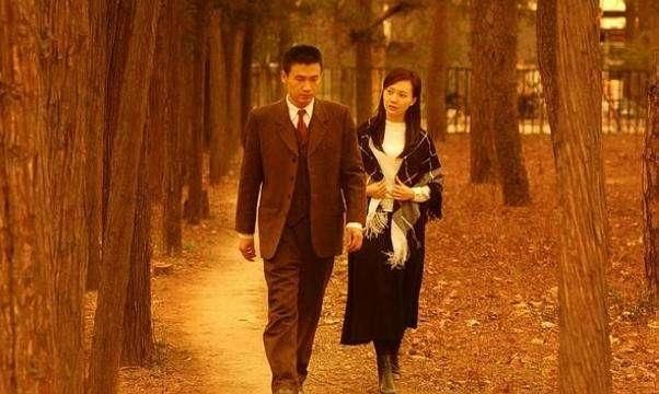 柳云龙妻子，柳云龙的演技如何？图23