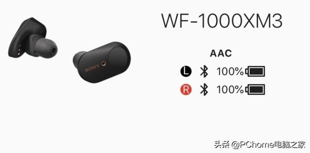 索尼无线蓝牙耳机wf1000xm3评测（无线蓝牙耳机最强音质）(13)
