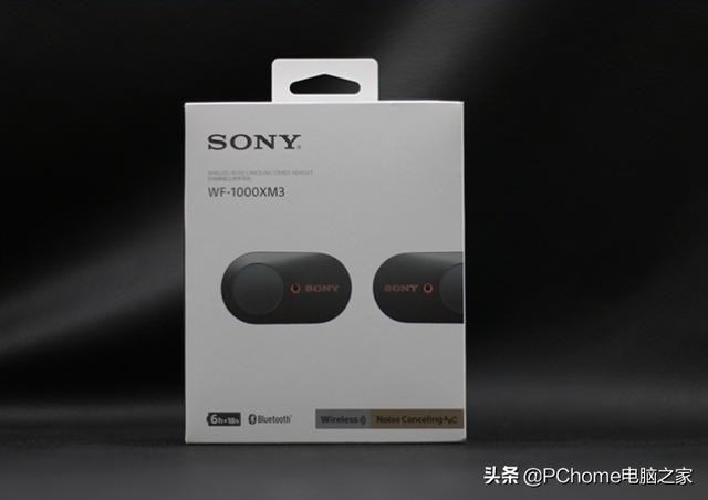 索尼无线蓝牙耳机wf1000xm3评测（无线蓝牙耳机最强音质）(1)