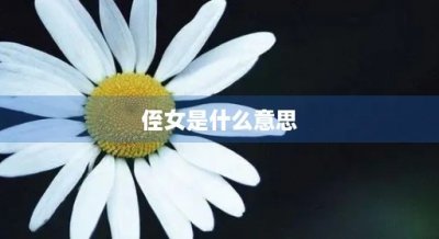 ​侄女是什么意思