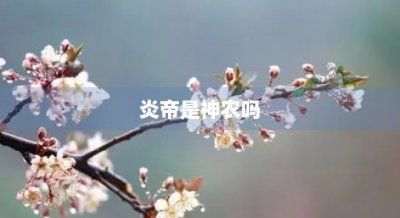 ​炎帝是神农吗(炎帝是神农吗 写了什么书)