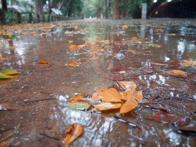 ​一场秋雨一场寒下一句是啥？为什么？