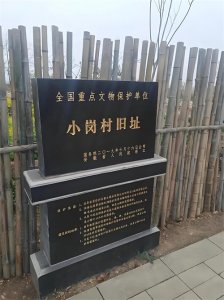​小岗村的传奇：从“三靠村”到农村改革的先锋